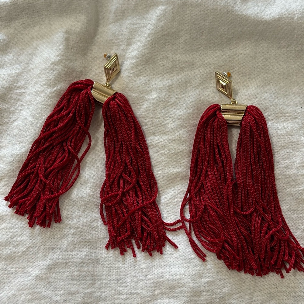 NWOT- H & M Dangle Earrings